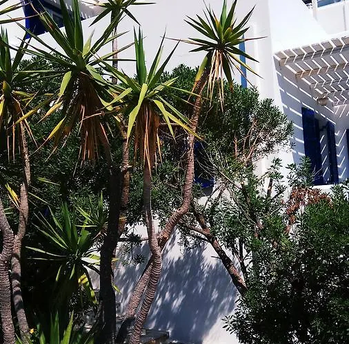 Nicos Studios & Apartments