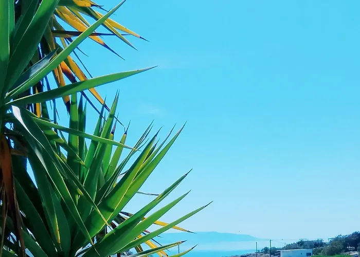 Nicos Studios & Apartments * Logaras