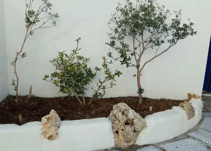 Nicos Studios & Apartments Logaras