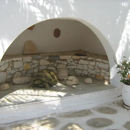 Apartment Nicos Studios & Apartments Logaras