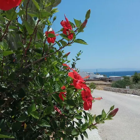 Nicos Studios & Apartments Apartment Logaras