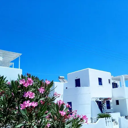 Nicos Studios & Apartments Apartment *