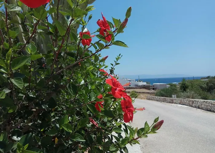 Nicos & Apartman Logarász